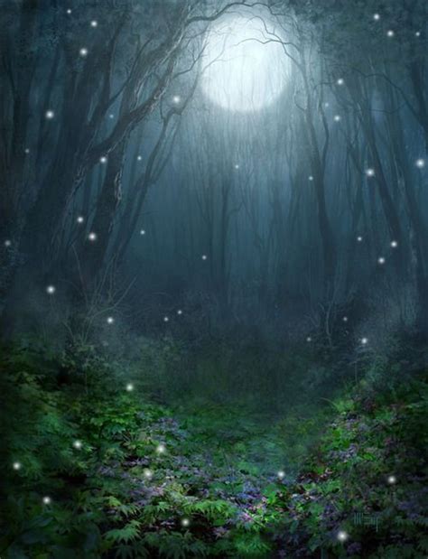 Fairy Moon Fantasy Landscape Magical Forest Scenery