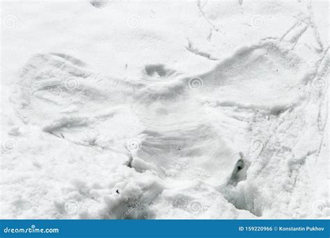 Trail In The Form Of A Snow Angel Stock Photo Image Of Lifestyle