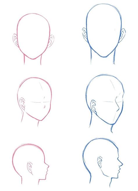 Female Vs Male Head Perspectives Drawing Manga Drawing Tutorial