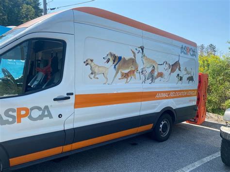 Ns Spca Pioneers Partnership With Us Counterpart For Animal