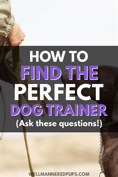 How To Find The Perfect Dog Trainer For You And Your Dog Be Sure To