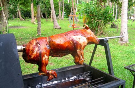 Spit Roast Pig Now Available Nigels Bbq And Catering