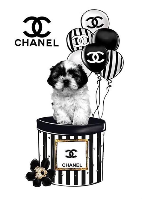 Pin By Alison Traecey On My Own Uploads Photoshopped To Print Quality Sizes Chanel Art Chanel