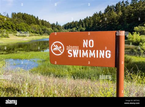 No Swimming Sign Posted On The Shoreline Of A Mountain Lake Covered In