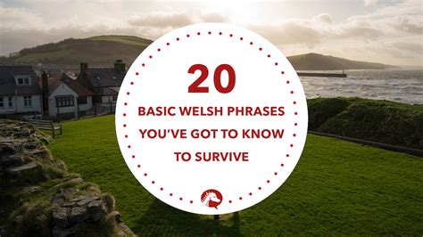 20 Basic Welsh Phrases Youve Got To Know To Survive We Learn Welsh