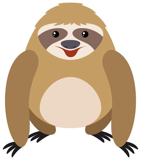 Sloth On White Background 294947 Vector Art At Vecteezy