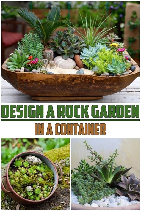 Design A Rock Garden In A Container Rock Garden Garden Rock Plants