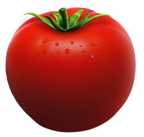 Tomato Png Clipart Clip Art Library