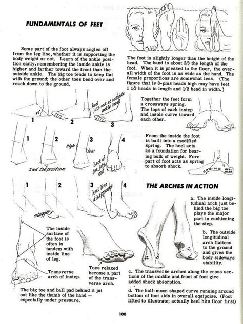 Feet Drawing Reference Guide Drawing Referenc