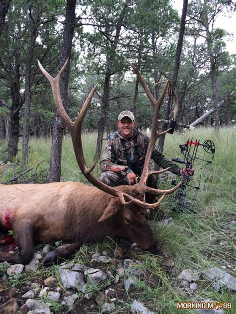 Big New Mexico Archery Bull Elk Shot Sacramento Mountain