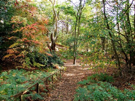 Woodland Path Rspb Sandy Mrs Airwolfhound Flickr