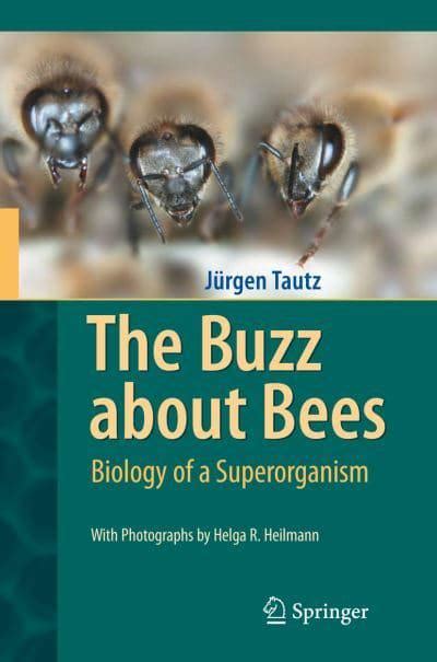 The Buzz About Bees Jürgen Tautz 9783540787273 Blackwells