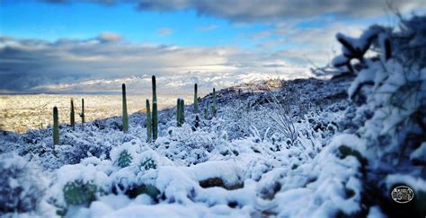 Snapseeded Snow In Tucson School Sabino Canyon And Saguaro National
