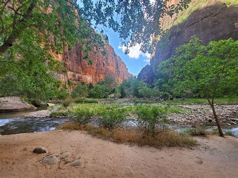 Riverside Walk Zion National Park 2020 All You Need To Know Before