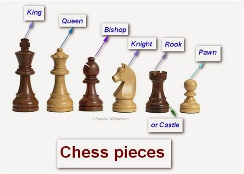 Chess Moves Meaning The Name With Pictures Of Each Chess Pieces All