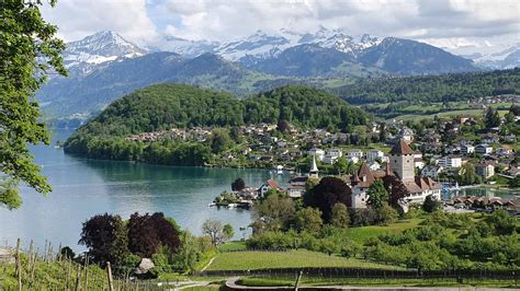 Spiez Switzerland Things To Do And Travel Infos Switzerlandical