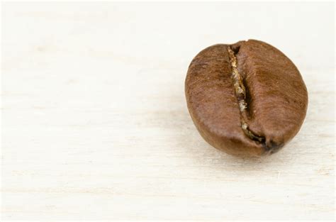 Coffee Bean · Free Stock Photo