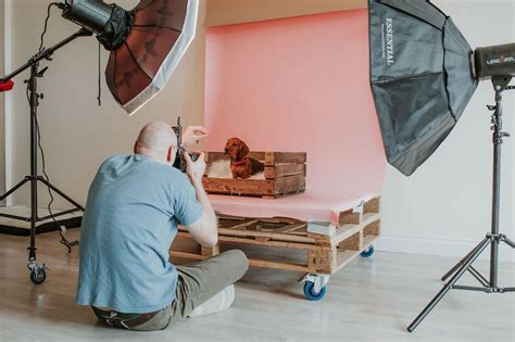 Get A Behind The Scenes Look At A Mutleys Snaps Studio Pet Photography