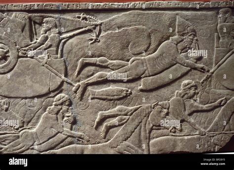 Soldados asirios nadar en un río en pieles de cabra DESPIECE