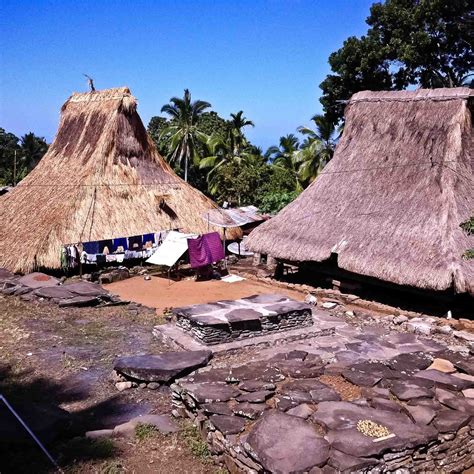 Kumpulan 9 Gambar Rumah Adat Ende