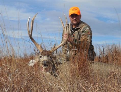 Biggest Forked Horn Mule Deer Monster Muleys Community