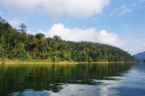 Rainforest Malaysia Perak Nature Travel Photography State Parks