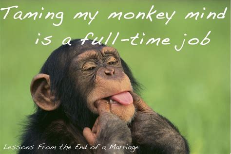 Josh Diary Funny Monkey Pictures With Quotes