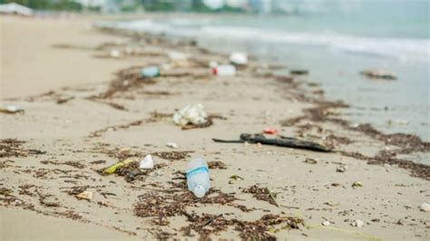 Opinion How Marine Debris Impedes Coastal Tourism And Economic