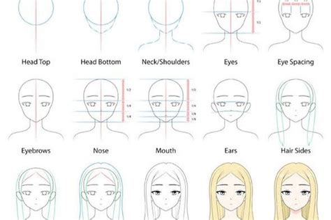Cara Menggambar Mata Anime Untuk Pemula Ocoriginal Ka