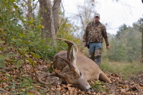 Why You Should Wait To Hunt Deer During The Rut