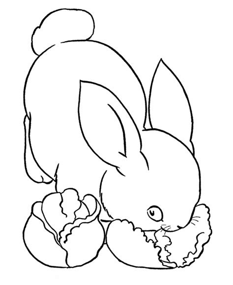 Bunny Rabbits Coloring Pages Coloring Home