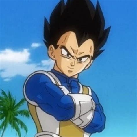 Goku And Vegeta Matching Pfp Profile Pictures And Avatars