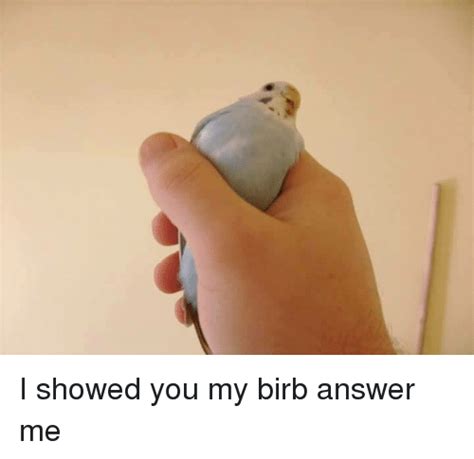 24 High Quality Birb Memes That Will Elevate Your Mood Memes Fresh