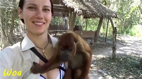 Monkey Teasing Girl For Adults Only The Best Positions And Dumps Funny