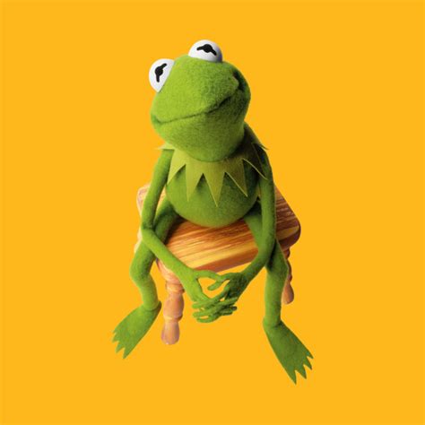 Kermit Disappointment Kermit The Frog T Shirt Teepublic