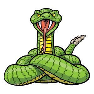 A Green Snake With Its Mouth Open Sitting On Top Of It S Head And