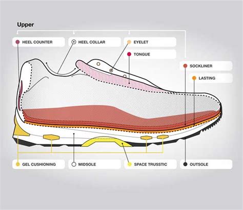 Anatomy Of A Running Shoe Asics South Africa