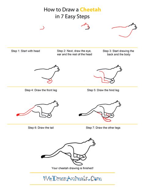 Easy cheetah drawing at getdrawings free download. Baby Cheetah Drawings | How to Draw A Cheetah - Quick Step-by-Step Tutorial | Cheetah drawing ...
