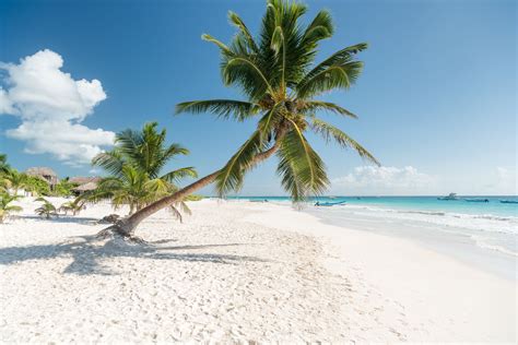 7 Of Mexicos Best White Sand Beaches White Sand Beach Tulum Mexico