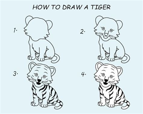Passo Dopo Passo Per Disegnare Una Tigre Tutorial Per Disegnare Una