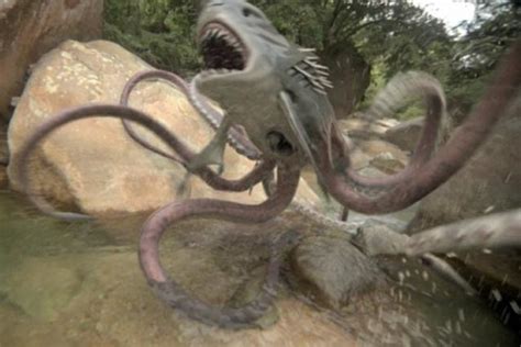 The Blog Of Lord Naseby My Review Of Sharktopus