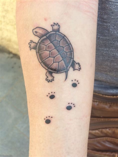 Discover Box Turtle Tattoo In Coedo Com Vn