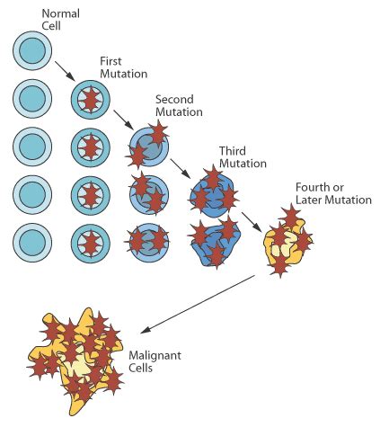 To get started finding dna and mutations webquest answer key, you are right to find our website which has a comprehensive collection of manuals listed. Punnett's Square: Most Cancer-Causing Mutations a Result ...