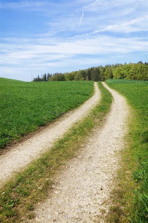 Path In A Green Meadow Nature Scenery Landscape Stock Image Image Of