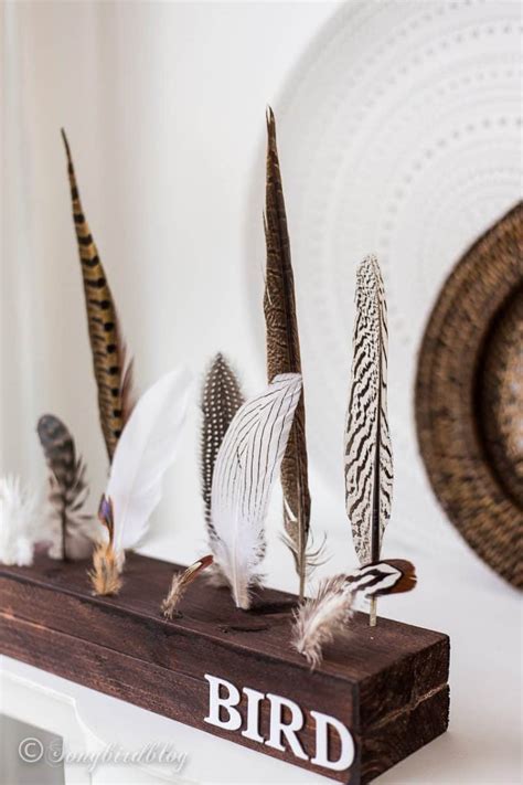 Best Way To Display A Feather Collection Easy Diy Project