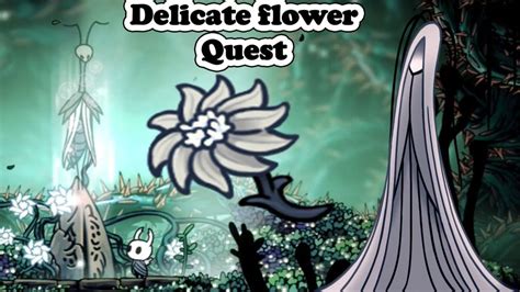 Awesome Hollow Knight Flower Quest Reward And View Flowers Knight