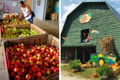 Apple Farm Orchards Near Asheville Apple Farm
