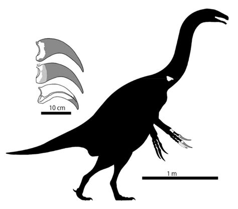 Species New To Science Paleontology 2022 Paralitherizinosaurus