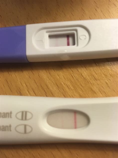 Positive Ovulation Test Pregnant Ovulation Signs