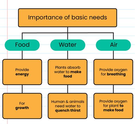 Basic Needs Of Living Things